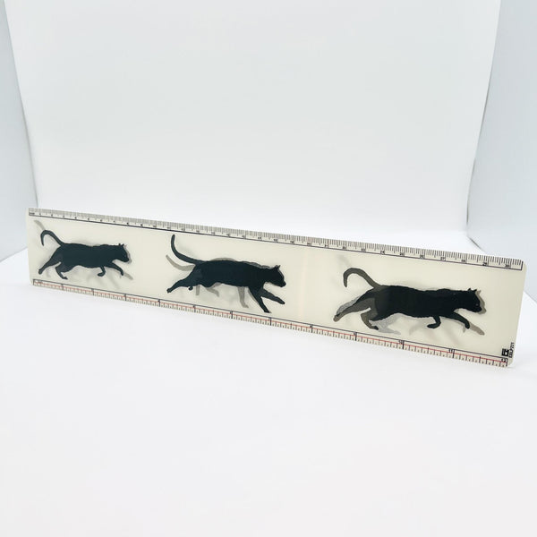 Lenticular Ruler