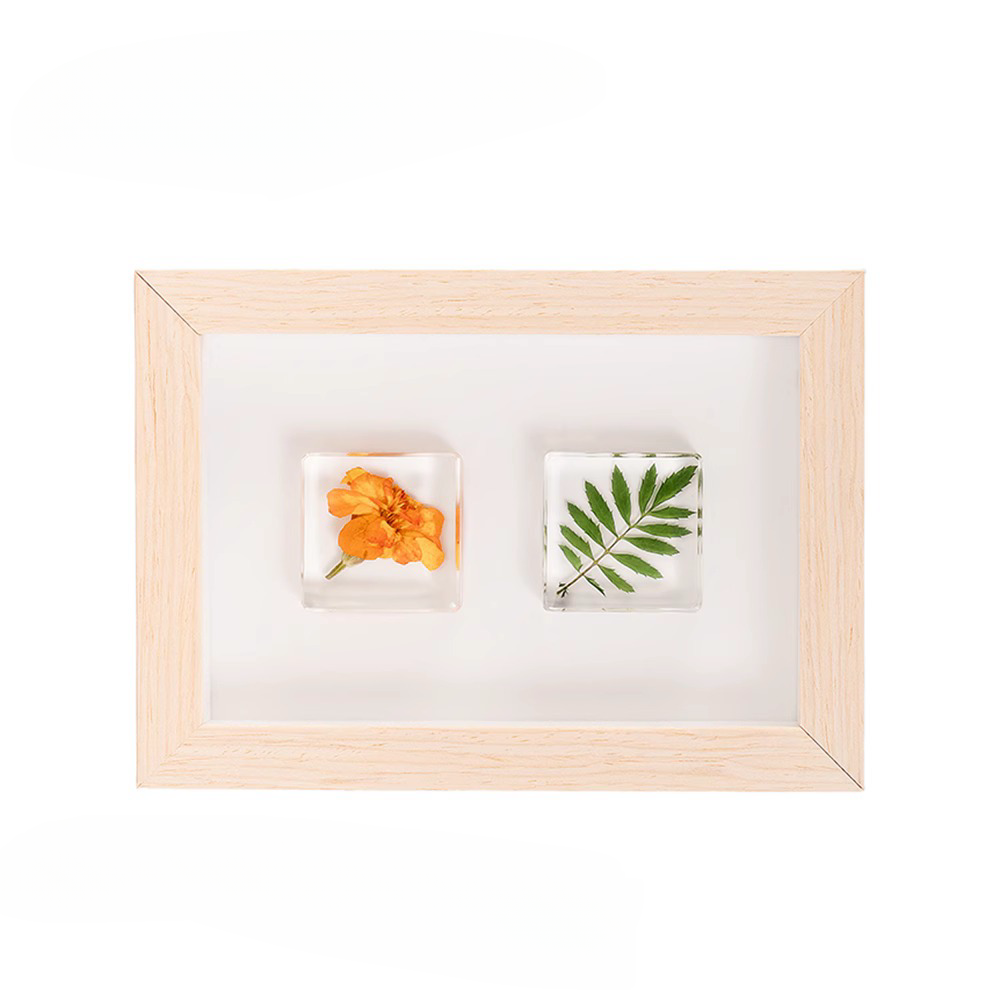 Specimen Photo Frame – MoreFun