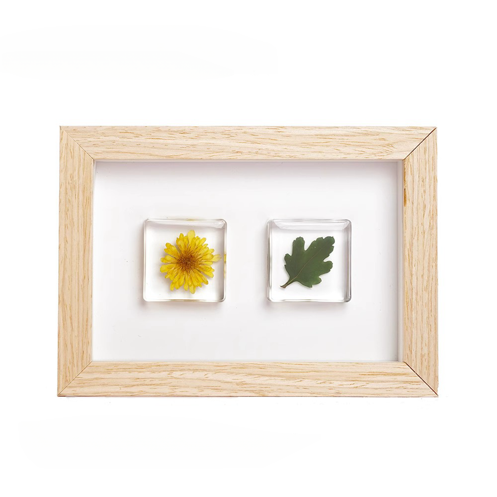 Specimen Photo Frame – MoreFun