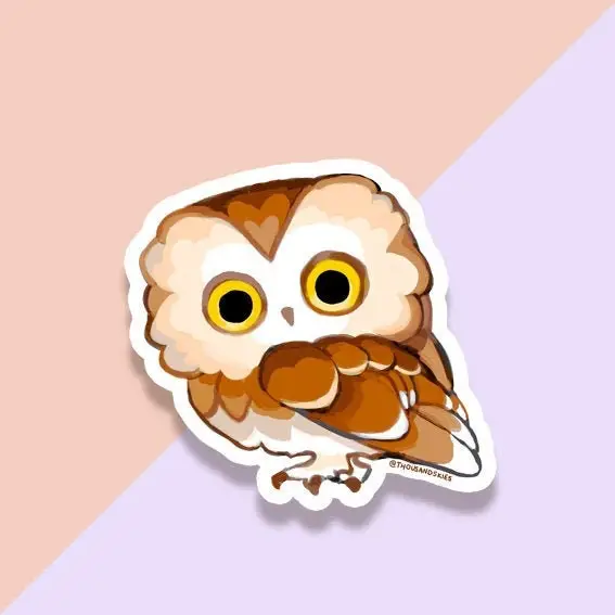 Vinyl Sticker Northern Saw Whet Owl