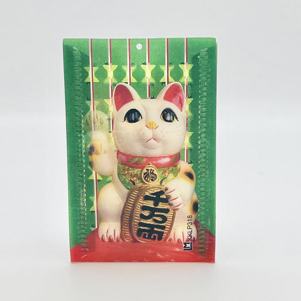 Lenticular Card Case