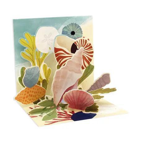 Ocean Shells Mini Pop-Up Card