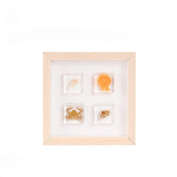 Specimen Photo Frame